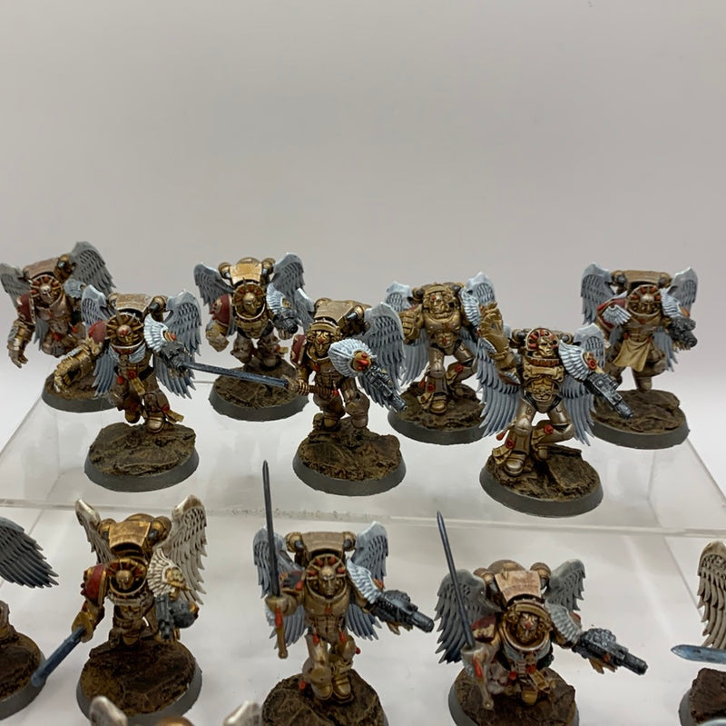 Warhammer 40k Sanguinary Guard x19 - Nicely Painted (AX049)