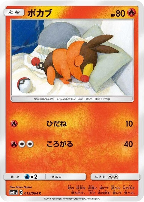 13-tepig