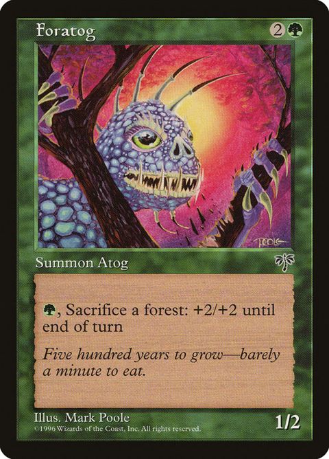 217-foratog