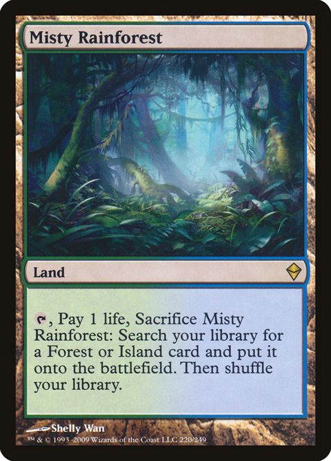 220-mistyrainforest