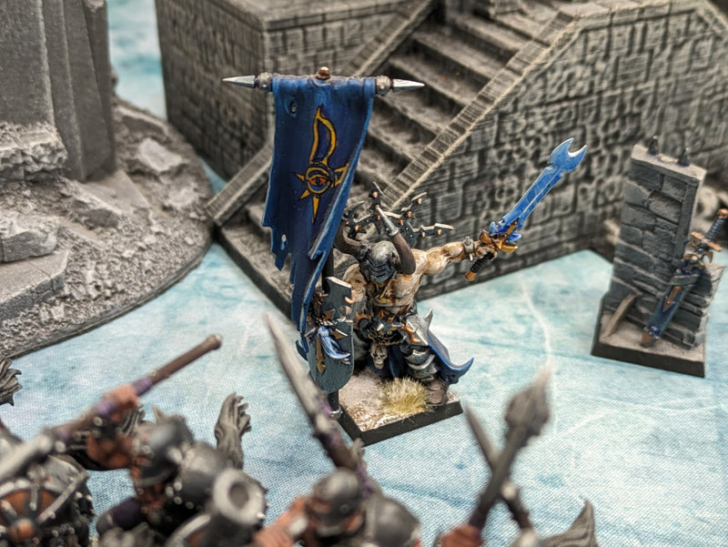 Warhammer Fantasy/The Old World: Warriors of Chaos Army - Well Painted (AB335)