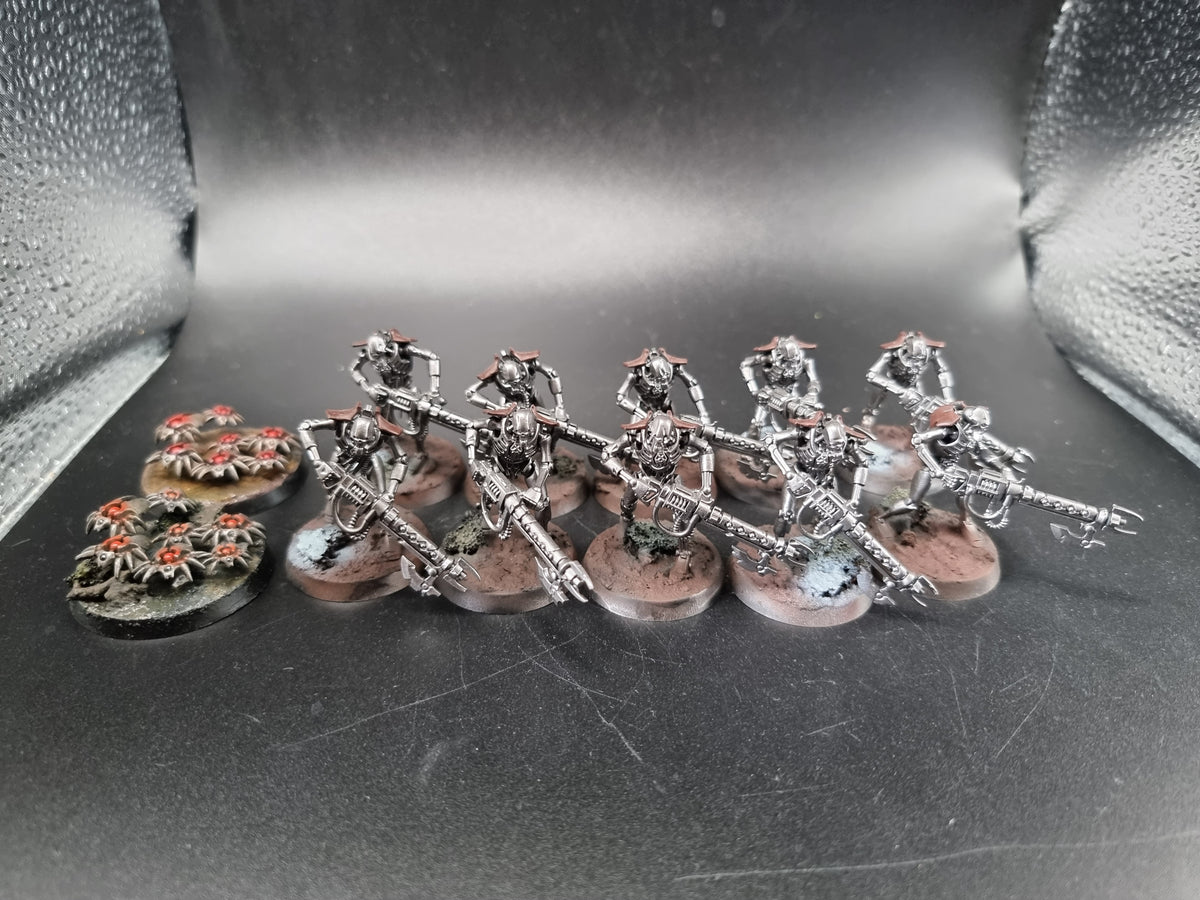 Warhammer 40k Necron Warriors and Scarabs (AJ111)