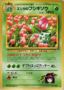 0-erikasivysaur