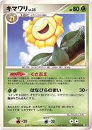 0-sunflora