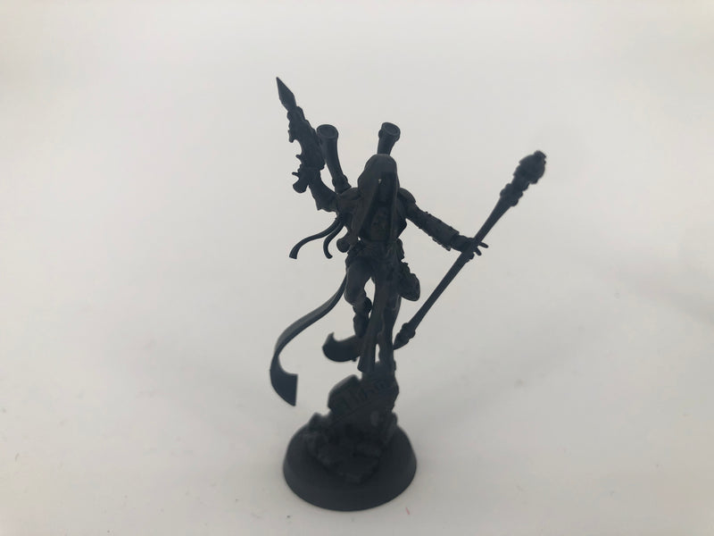 Eldar / Aeldari Harlequin Shadowseer Solitaire and Death Jester Bundle AI244-0927