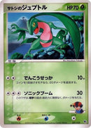 1-ashsgrovyle