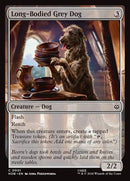 1-longbodiedgreydog