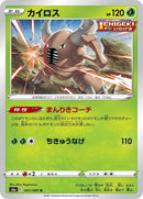 1-pinsir