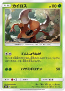 1-pinsir