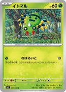 1-spinarak