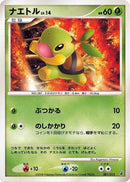 1-turtwig