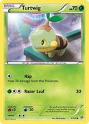 1-turtwig