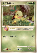 1-turtwig