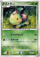 1-turtwig