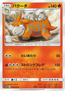10-camerupt