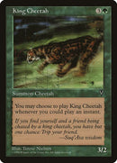 10-kingcheetah