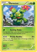 10-maractus
