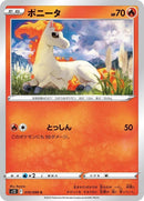 10-ponyta