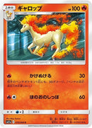 10-rapidash