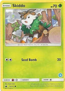 10-skiddo-13