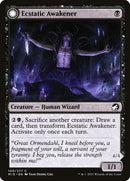 100-ecstaticawakenerawokendemon