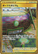 100-turffieldstadium