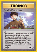 101-brocksprotection