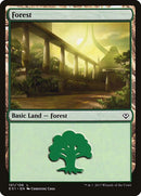 101-forest