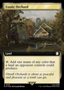1023-exoticorchard