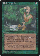 102a-undergrowth
