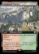 1036-shelteredthicket