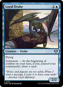 104-loyaldrake