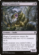 105-hagraconstrictor