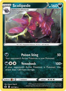 107-scolipede
