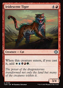 109-iridescenttiger