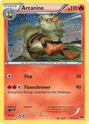 11-arcanine