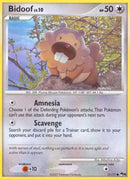11-bidoof