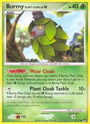 11-burmyplantcloak