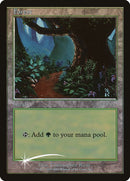 11-forest