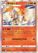 11-rapidash