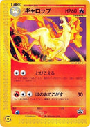 11-rapidash