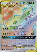 110-celebivenusaurgx