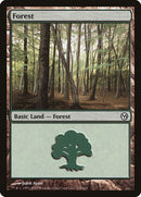 111-forest
