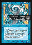 113-wallofair
