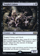 113s-tangledcolony