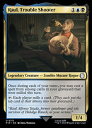 115-raultroubleshooter