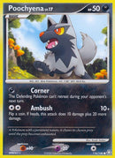 116-poochyena