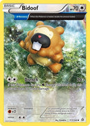 117-bidoof-alpha