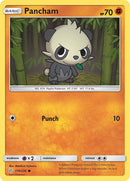 119-pancham