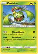 12-carnivine